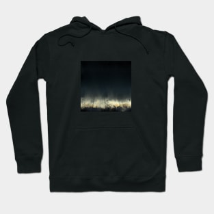 In The Light Of The Silvery Moon Hoodie